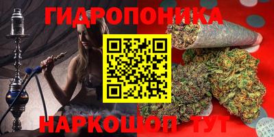 крисы Малгобек