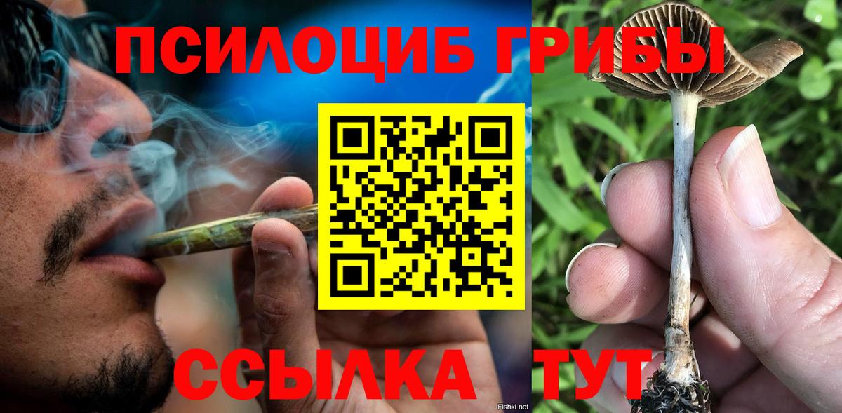 Псилоцибиновые грибы Psilocybine cubensis  цена наркотик  Гусев  Вход с VPN 